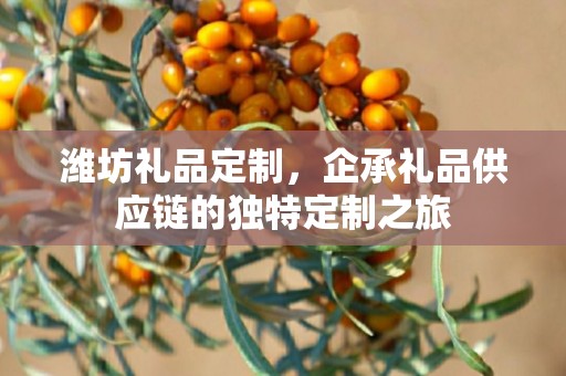 潍坊礼品定制，企承礼品供应链的独特定制之旅